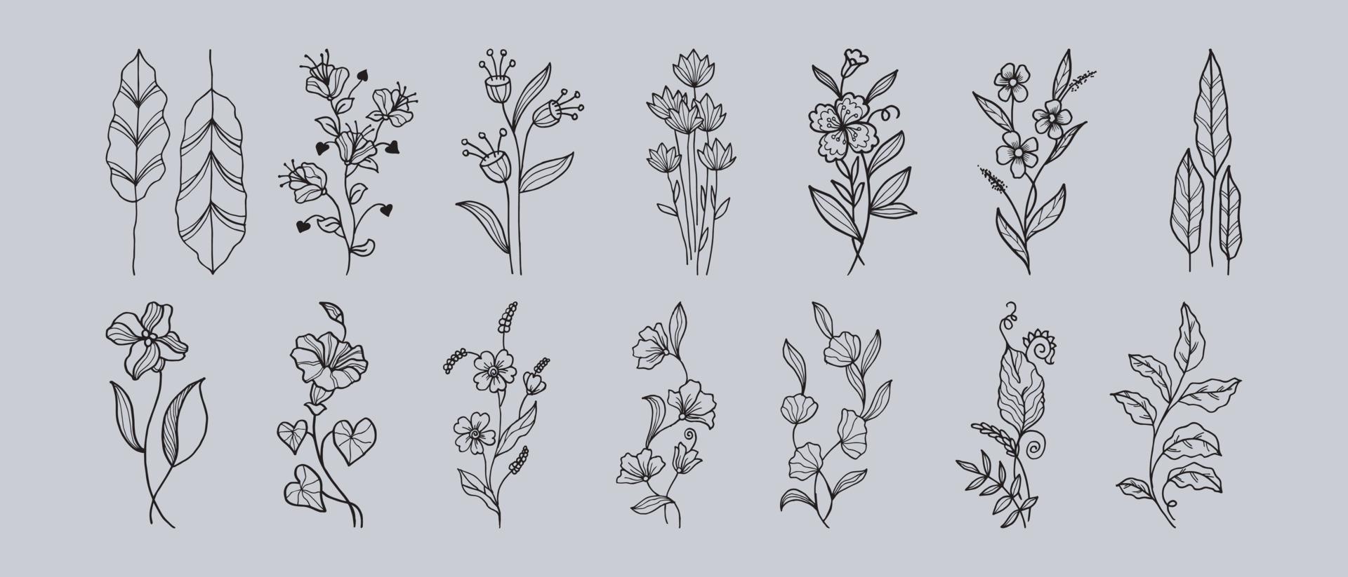 Hand drawn vector design floral elements. Vector illustration.