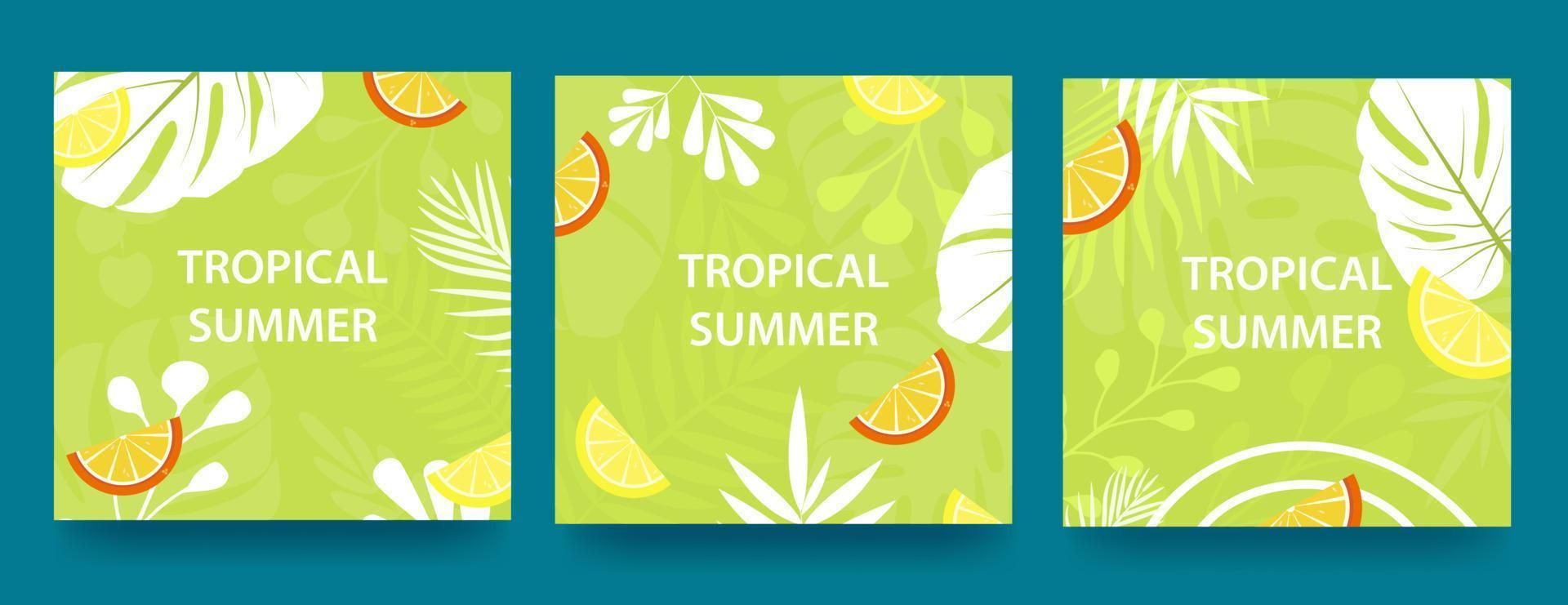 Set of advertising banners with tropical leaves, plants and citrus pieces. Announcement of a new collection, discounts on it, summer sale. Template for sale, advertising, web. vector
