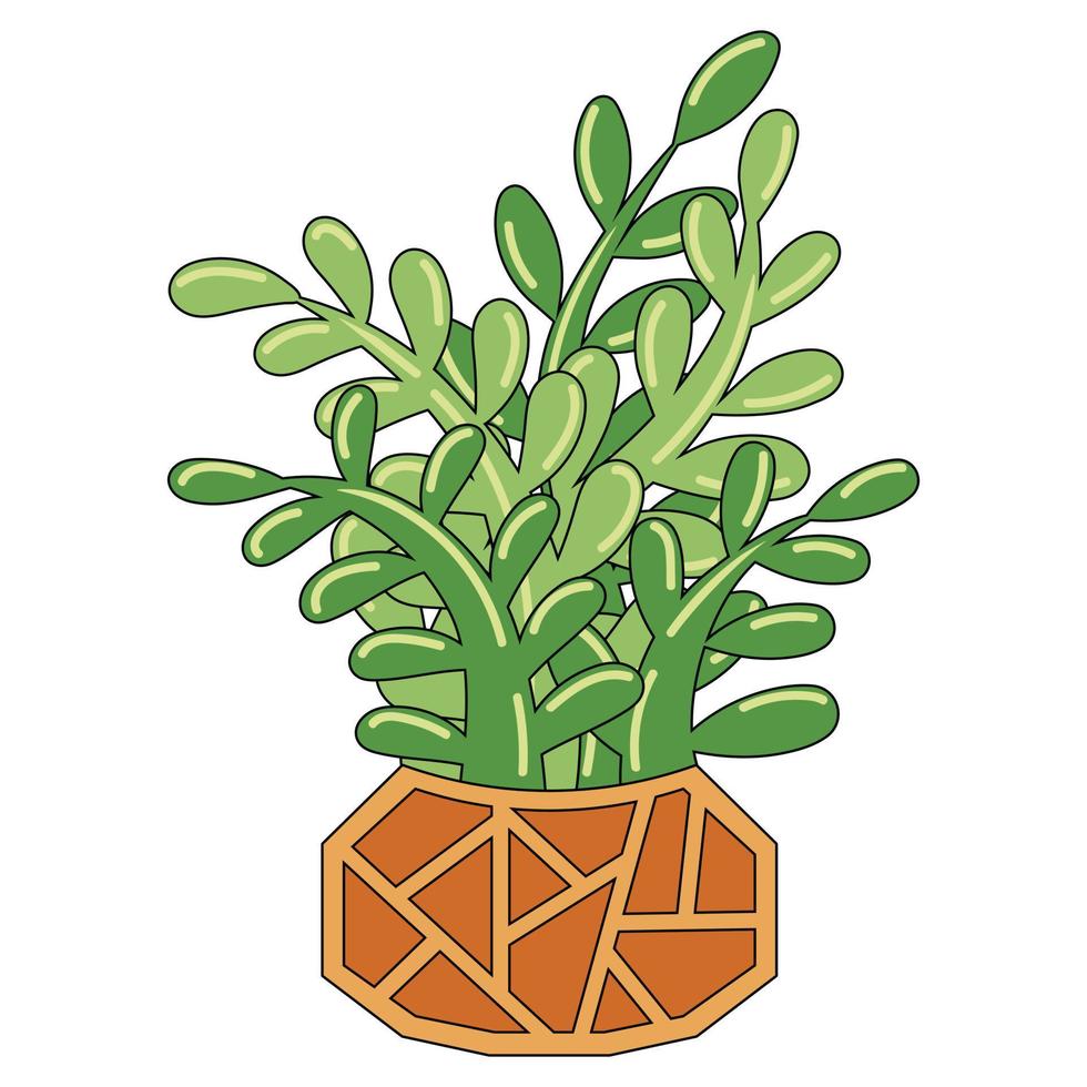 Green plant succulent crassula in the bromn orange pot vector