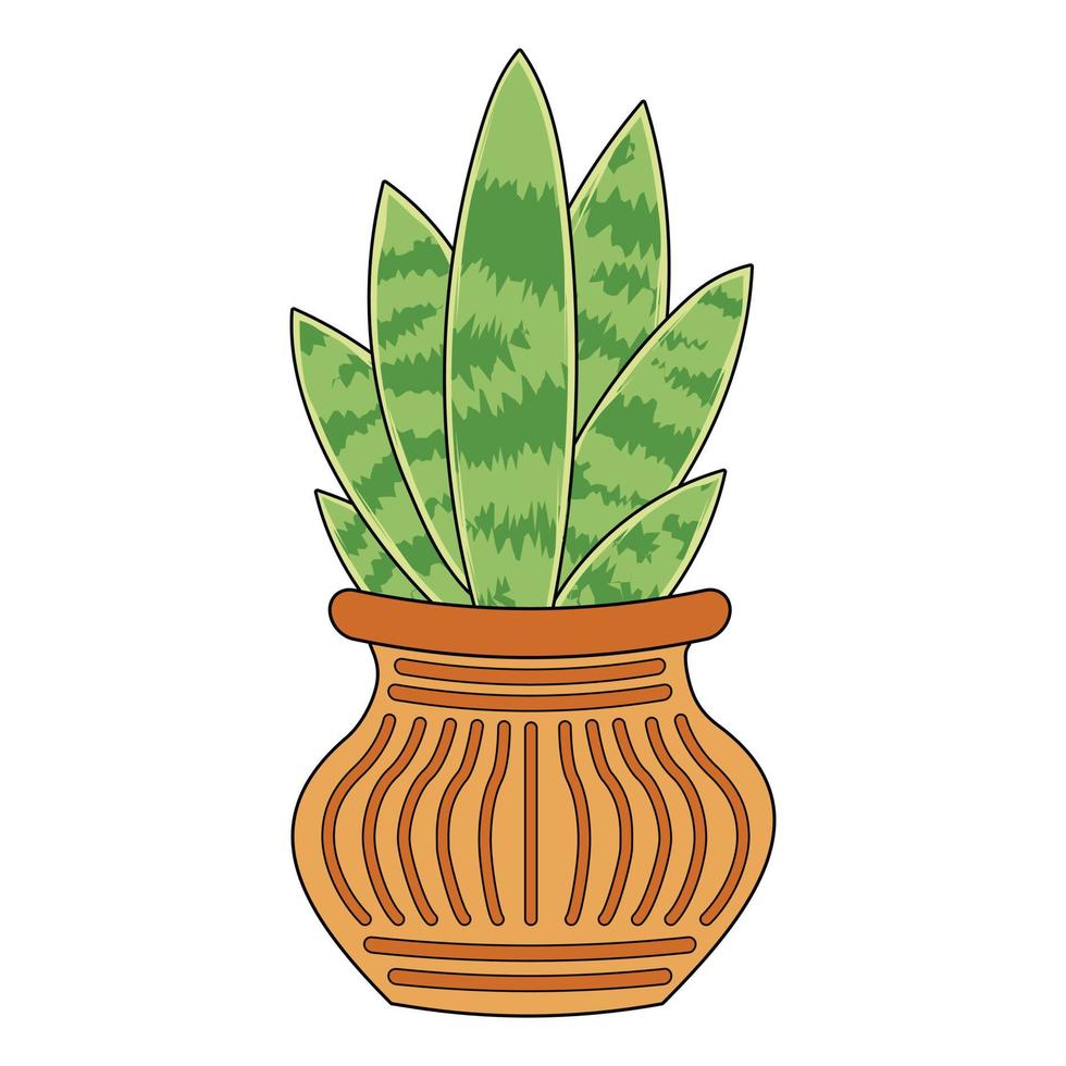 Green plant Sansevieria in the bromn orange pot vector