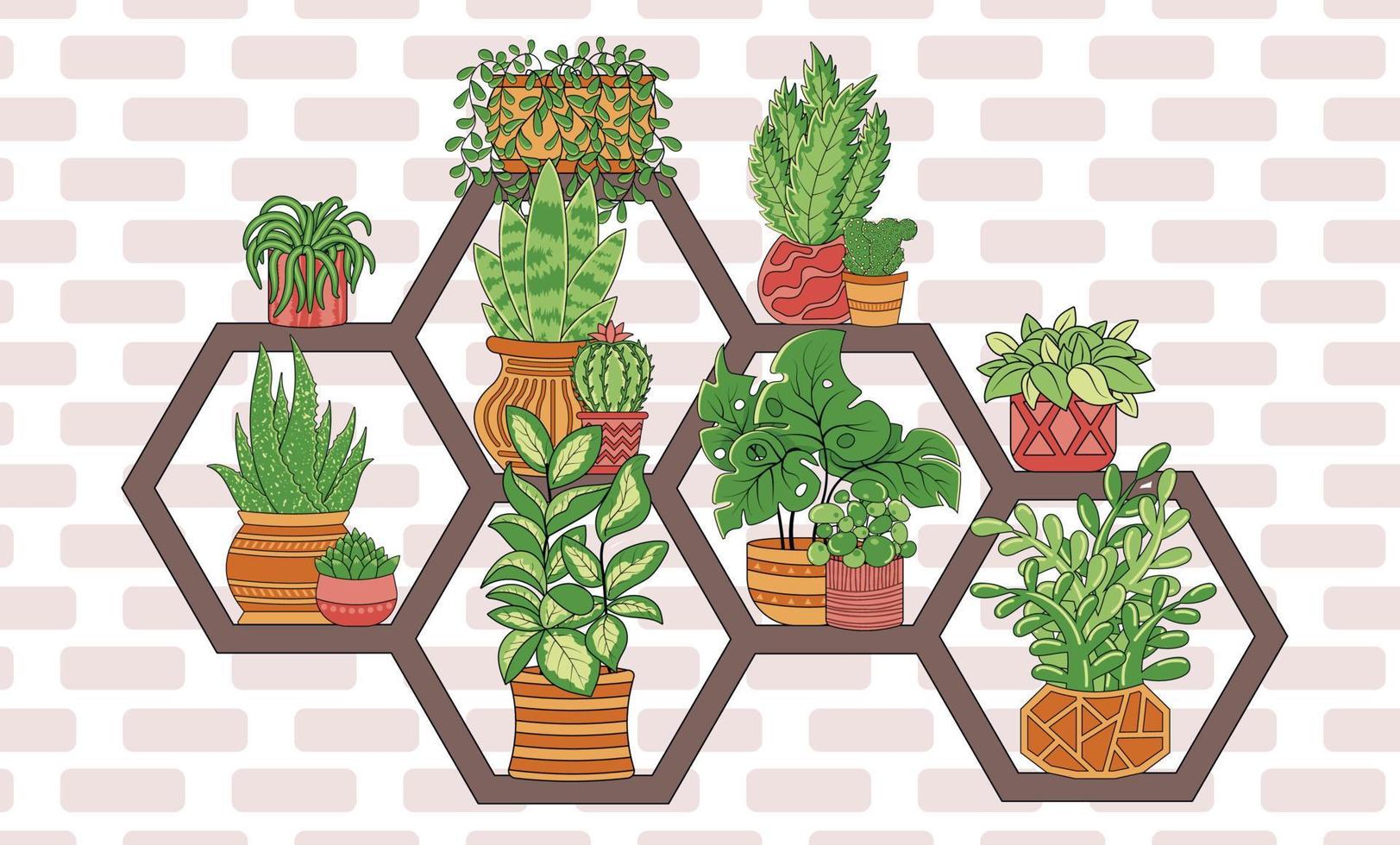 Houseplants in pots on wooden home honeycomb shelf vector