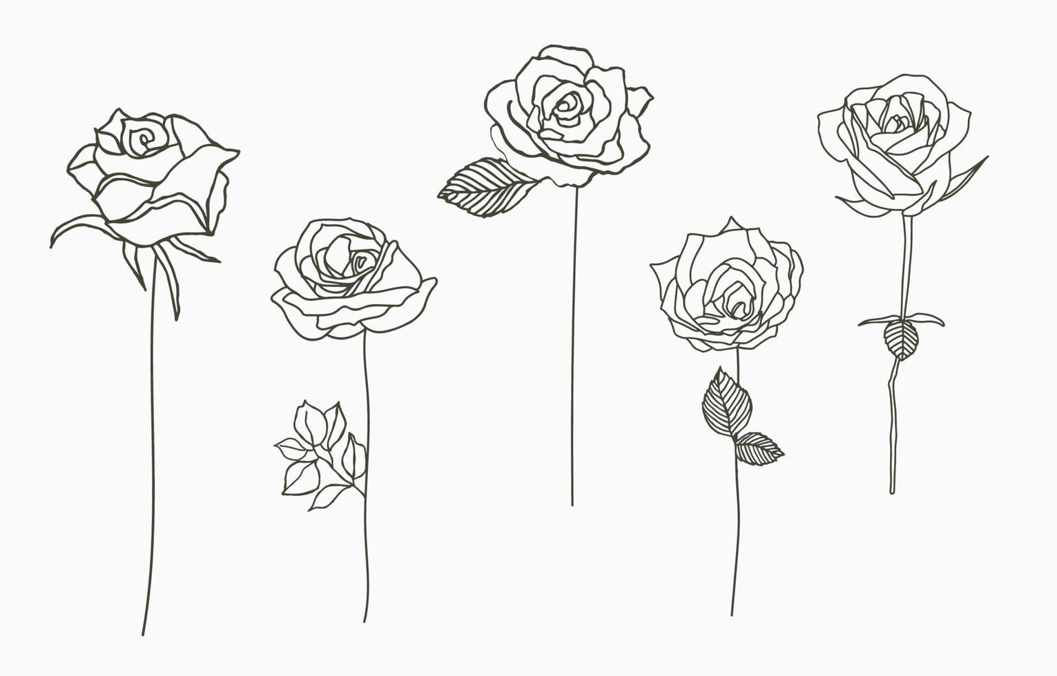 colección de rosas negras con hojas.ilustración vectorial para icono, logotipo, pegatina, imprimible y tatuaje vector