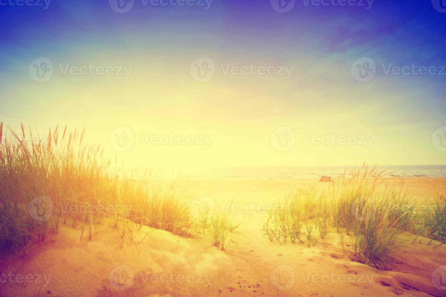 Calm beach with dunes and green grass. Tranquil ocean photo