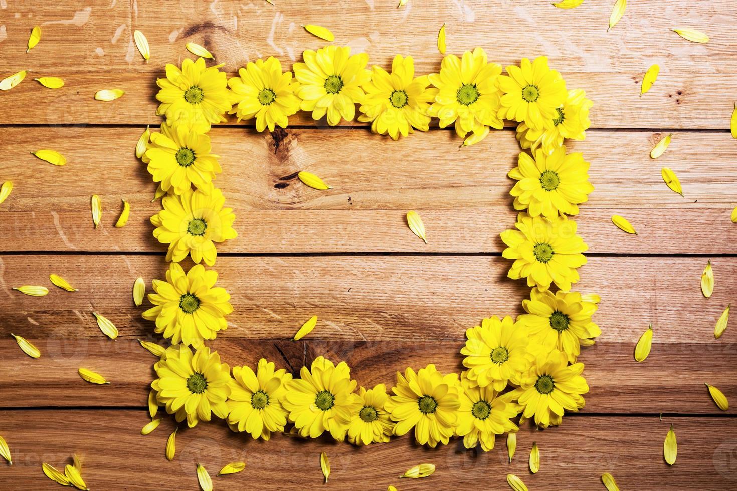 Fresh spring flowers and petals making frame on rustic wood. photo