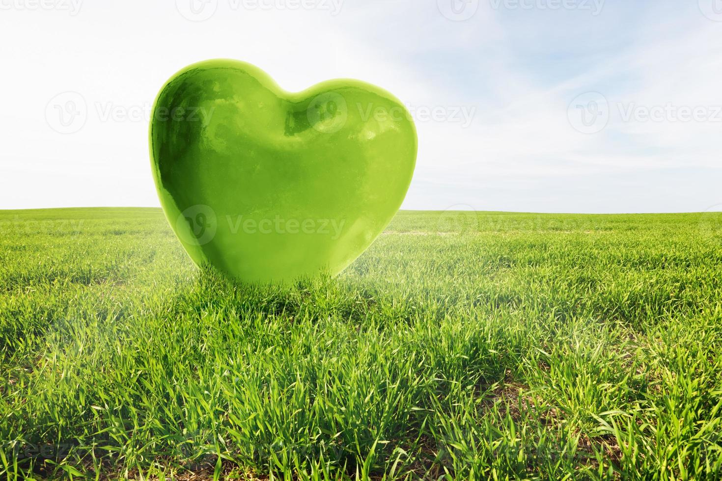 Green heart on the grassy field. Love, healthy environment, nature photo