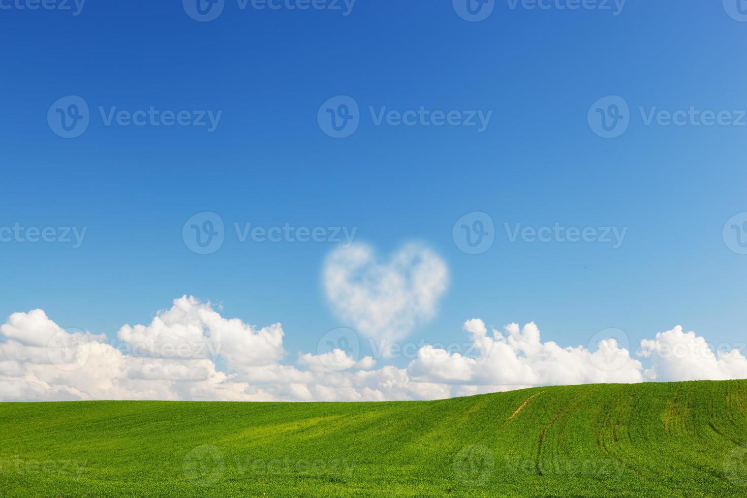 Heart shaped cloud above green summer field landscape photo