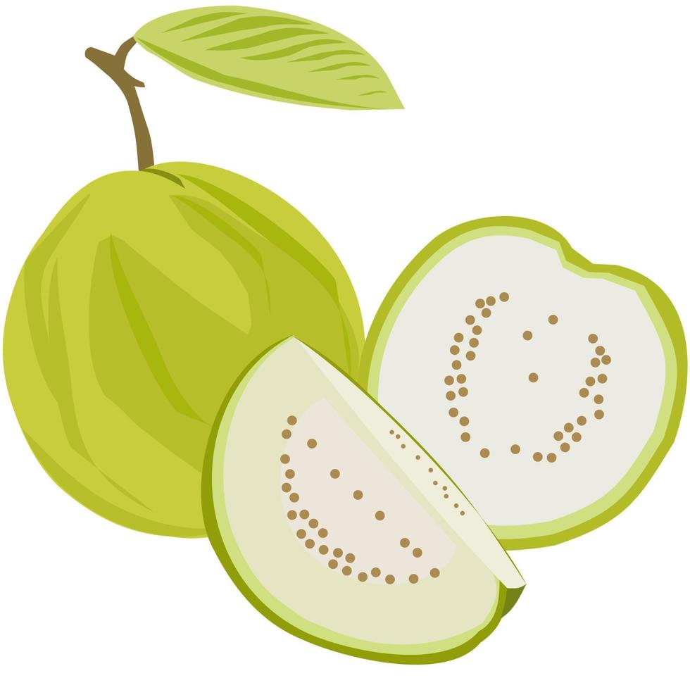 guayaba, vector icono de fruta verde tropical. enteras y por piezas. la pulpa es blanca, la piel es verde, jugosa y el aroma de la fruta es dulce y fuerte. ilustración aislada en un fondo