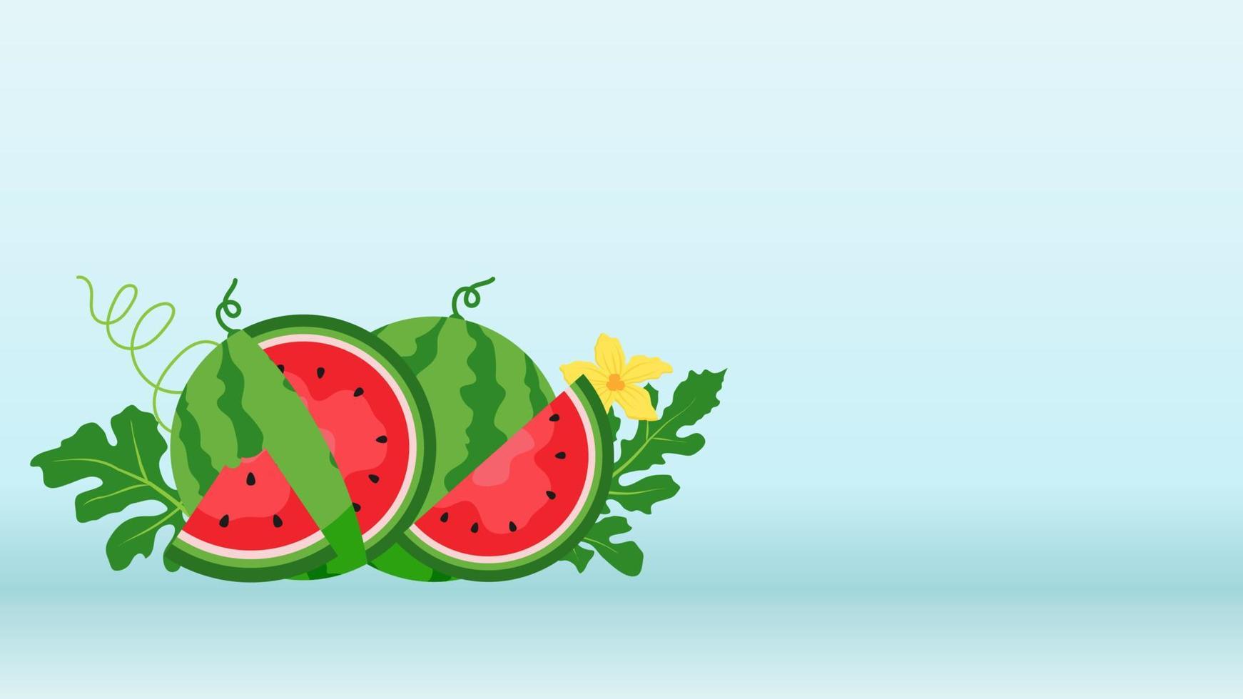 Watermelon and juicy slices vector, flat design of green leaves and flower and watermelon juice illustration, Fresh and juicy fruit concept of summer food. vector