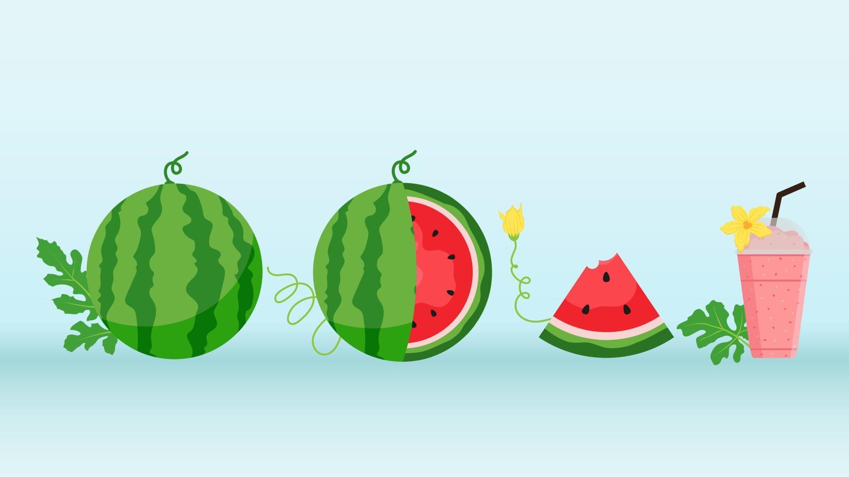 Watermelon and juicy slices vector set, flat design of green leaves and watermelon flower illustration, Fresh and juicy fruit concept of summer food.