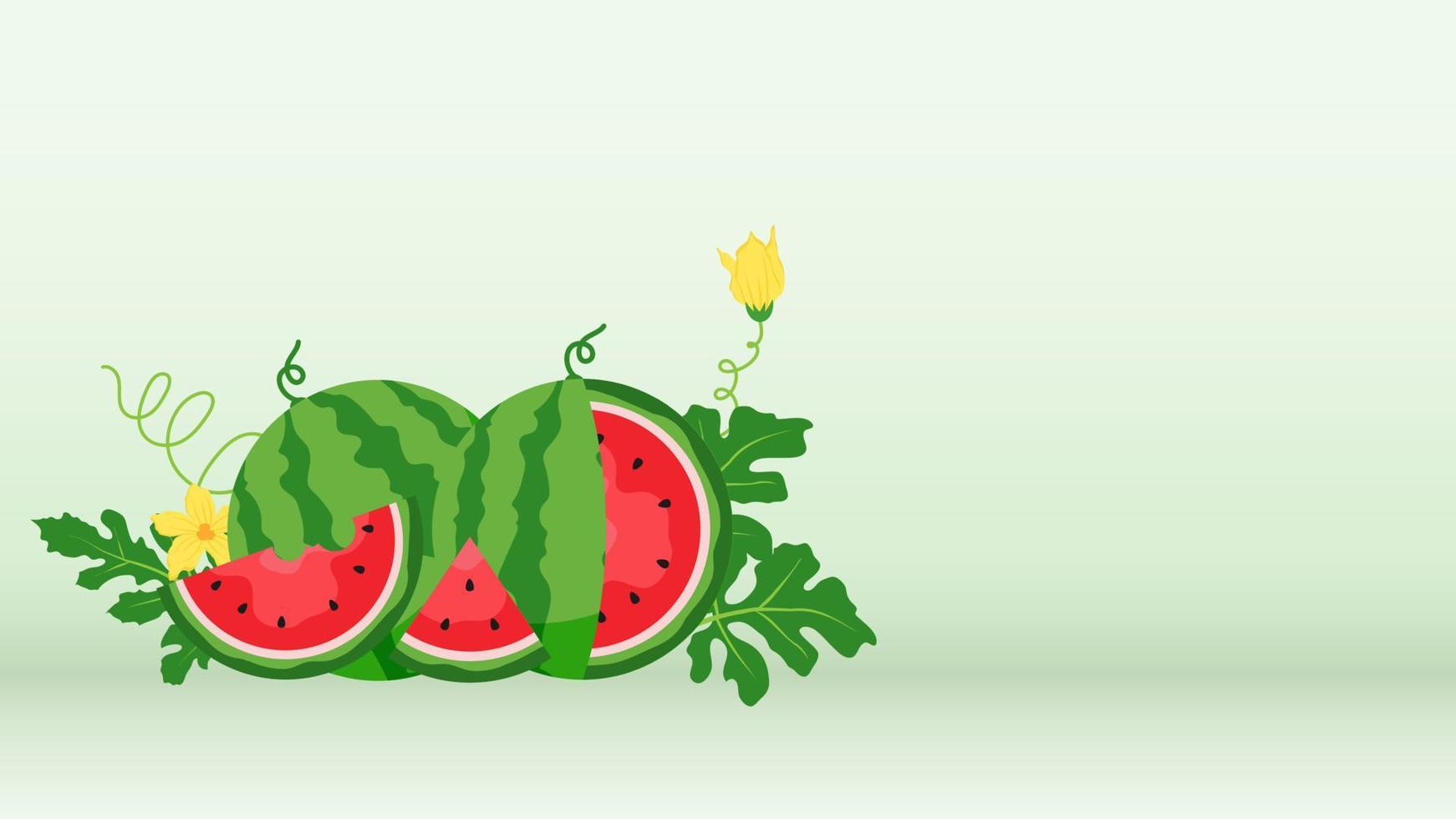 banner de sandía y rebanadas jugosas, diseño plano de hojas verdes e ilustración de flor de sandía, concepto de fruta fresca y jugosa de comida de verano. vector