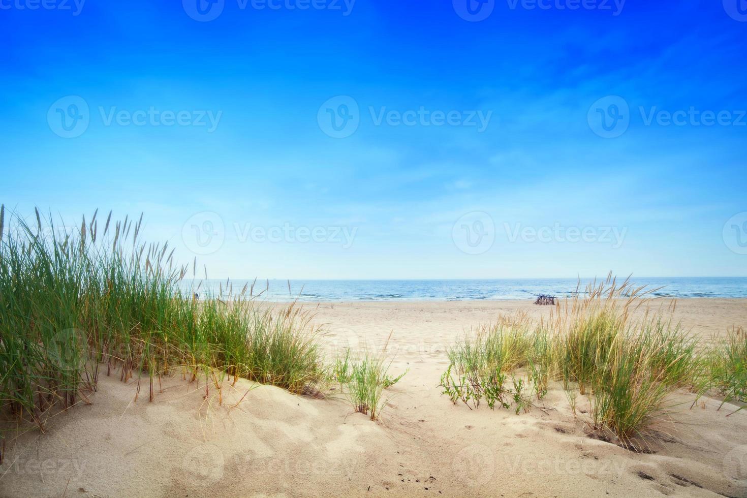 Calm beach with dunes and green grass. Tranquil ocean photo