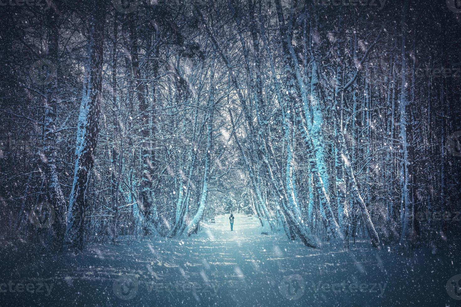 Walking alone in winter forest. One person with backpack going towards light photo