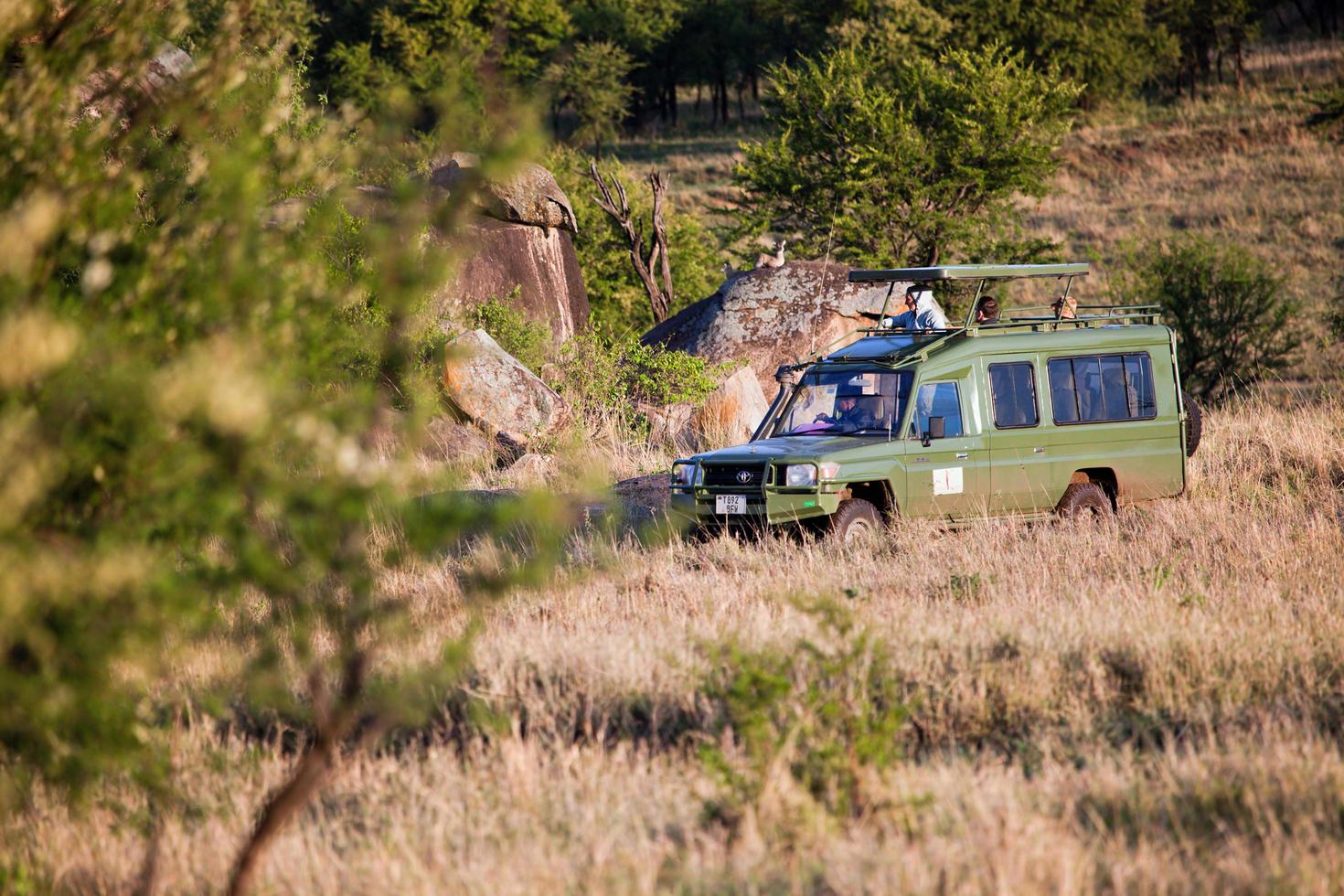 Serengeti, Tanzania, Africa, 2022 - Jeep with tourists on safari in photo