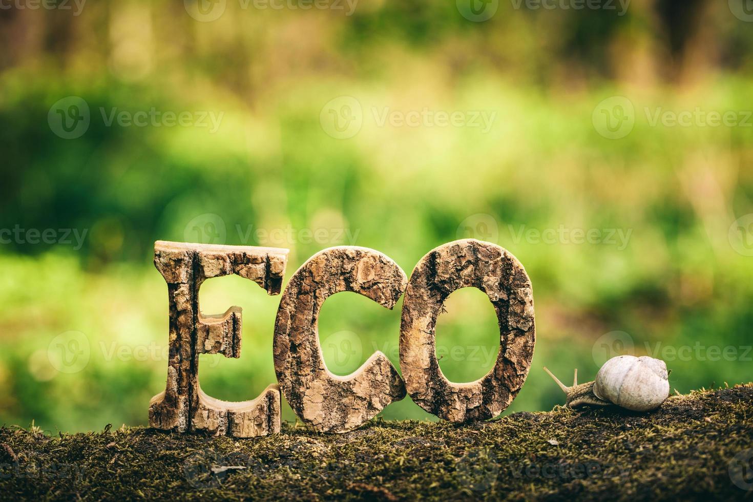 escritura ecológica hecha con letras de madera y un caracol foto