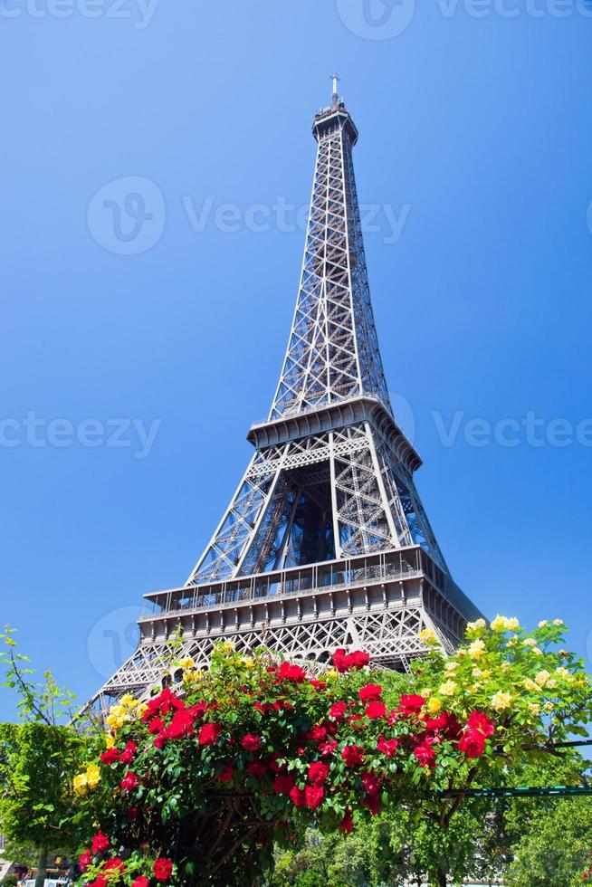 Eiffel Tower, Paris, France photo