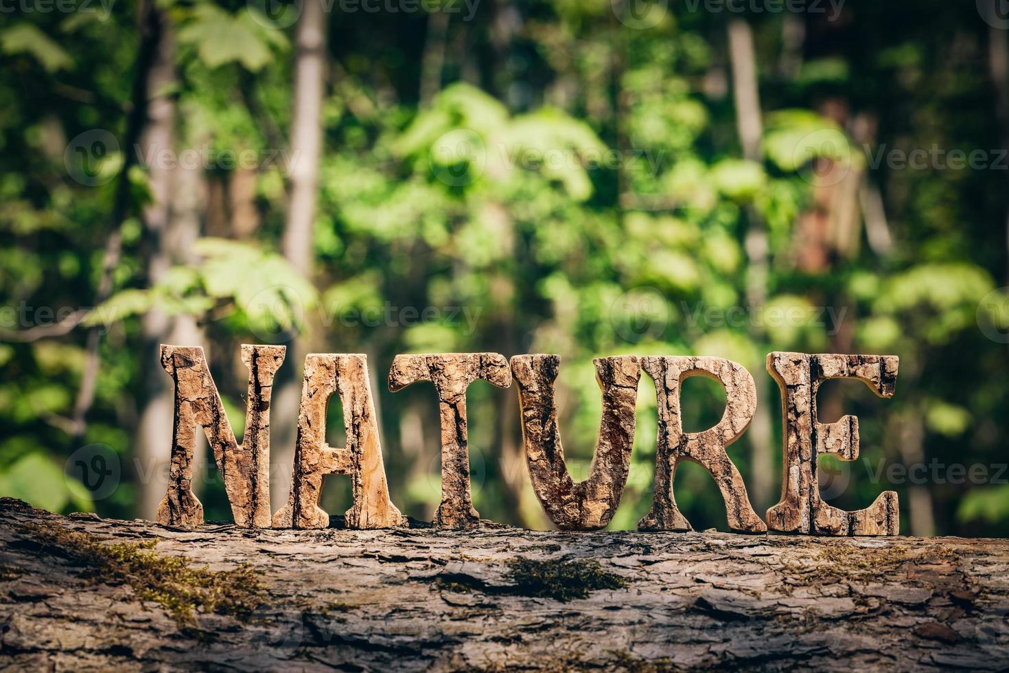 NATURE writing made from wooden letters in the forest photo