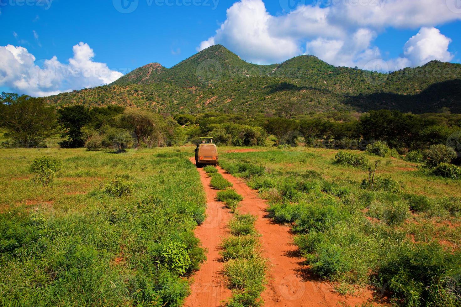 camino de tierra roja, arbusto con sabana. tsavo oeste, kenia, áfrica foto