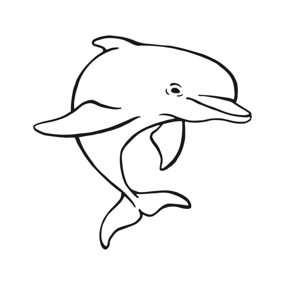 Hand drawn dolphin. Vector illustration in sketch style. Jumping dolphin isolated on white background.