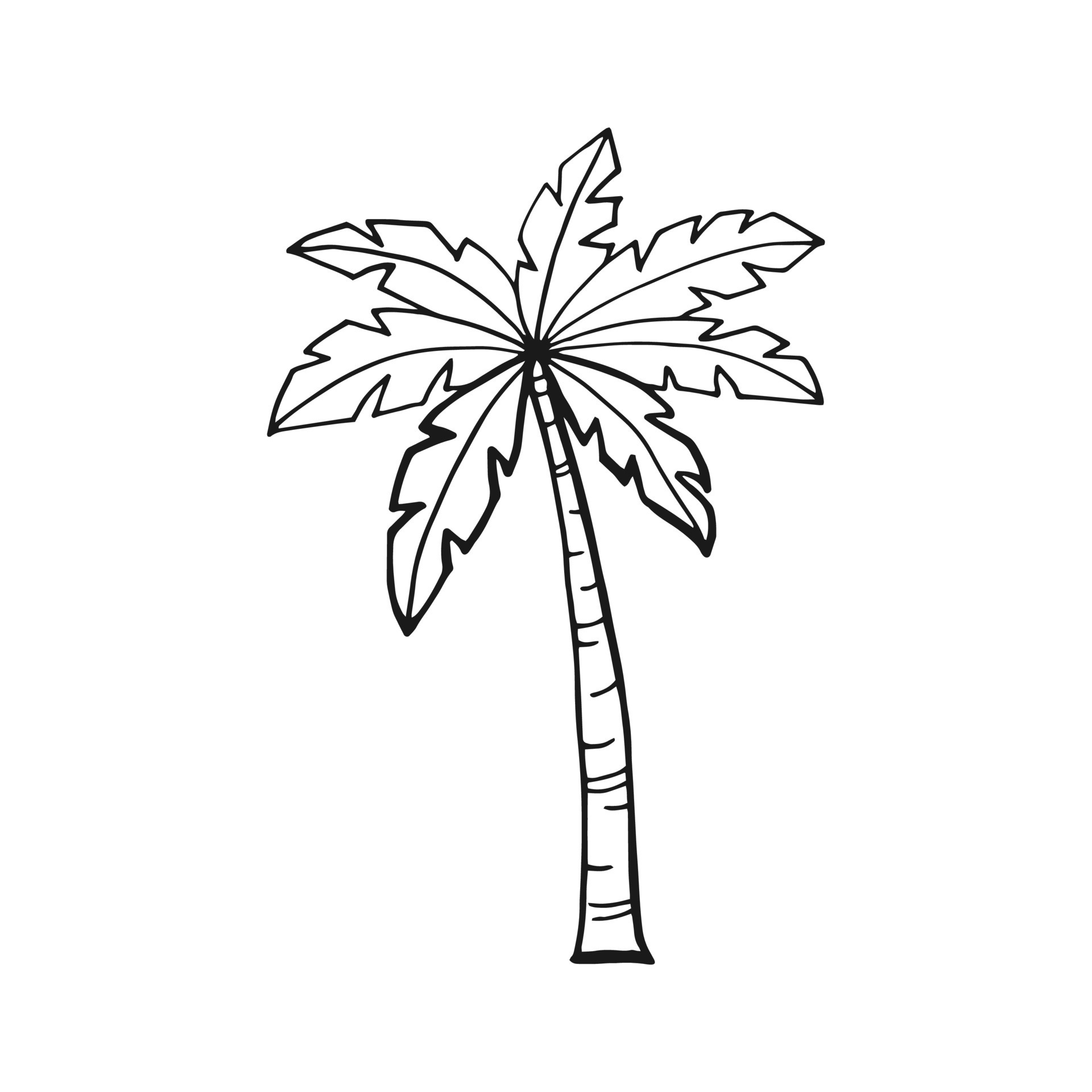 Palm tree. Hand drawn vector illustration. Line art style isolated