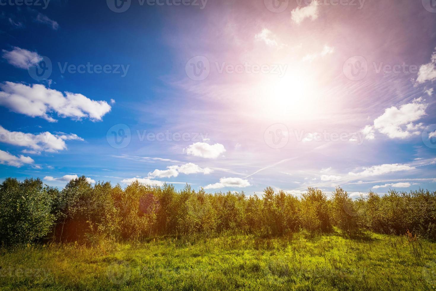 pradera de campo verde y línea de bosque. sol brillando en el cielo azul foto