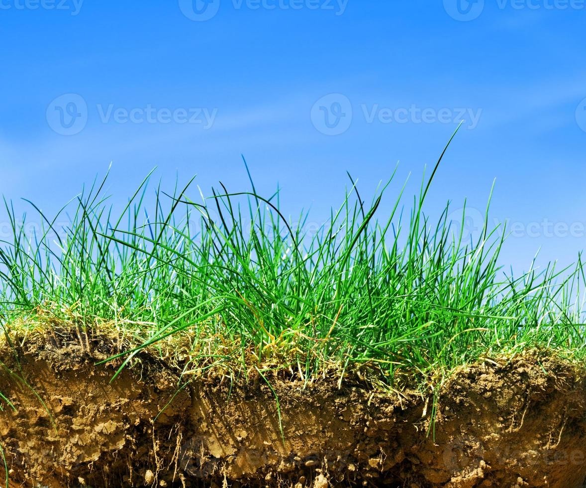 Ground, grass, sky cross section photo