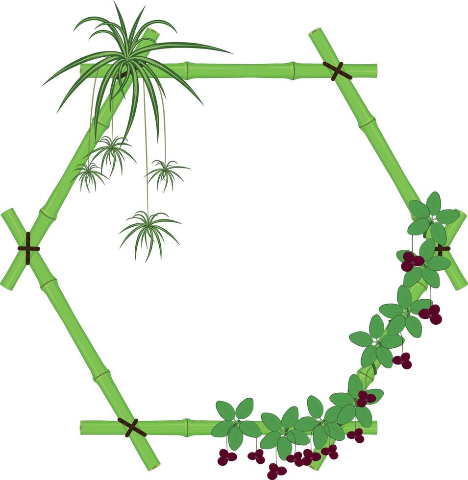 Hexagonal bamboo frame with spider plant and chocolate vines vector illustration