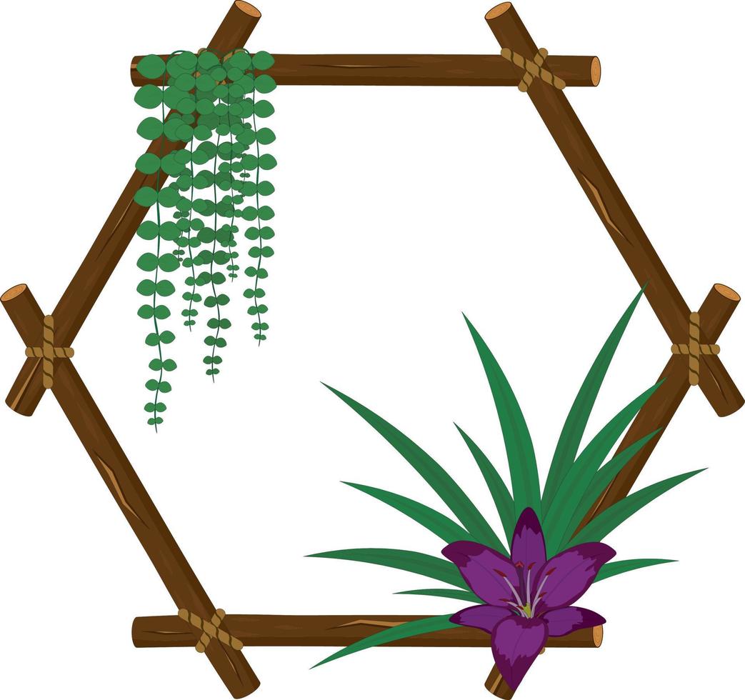 Hexagonal wood branch frame with string of nickels and lily purple flower vector illustration