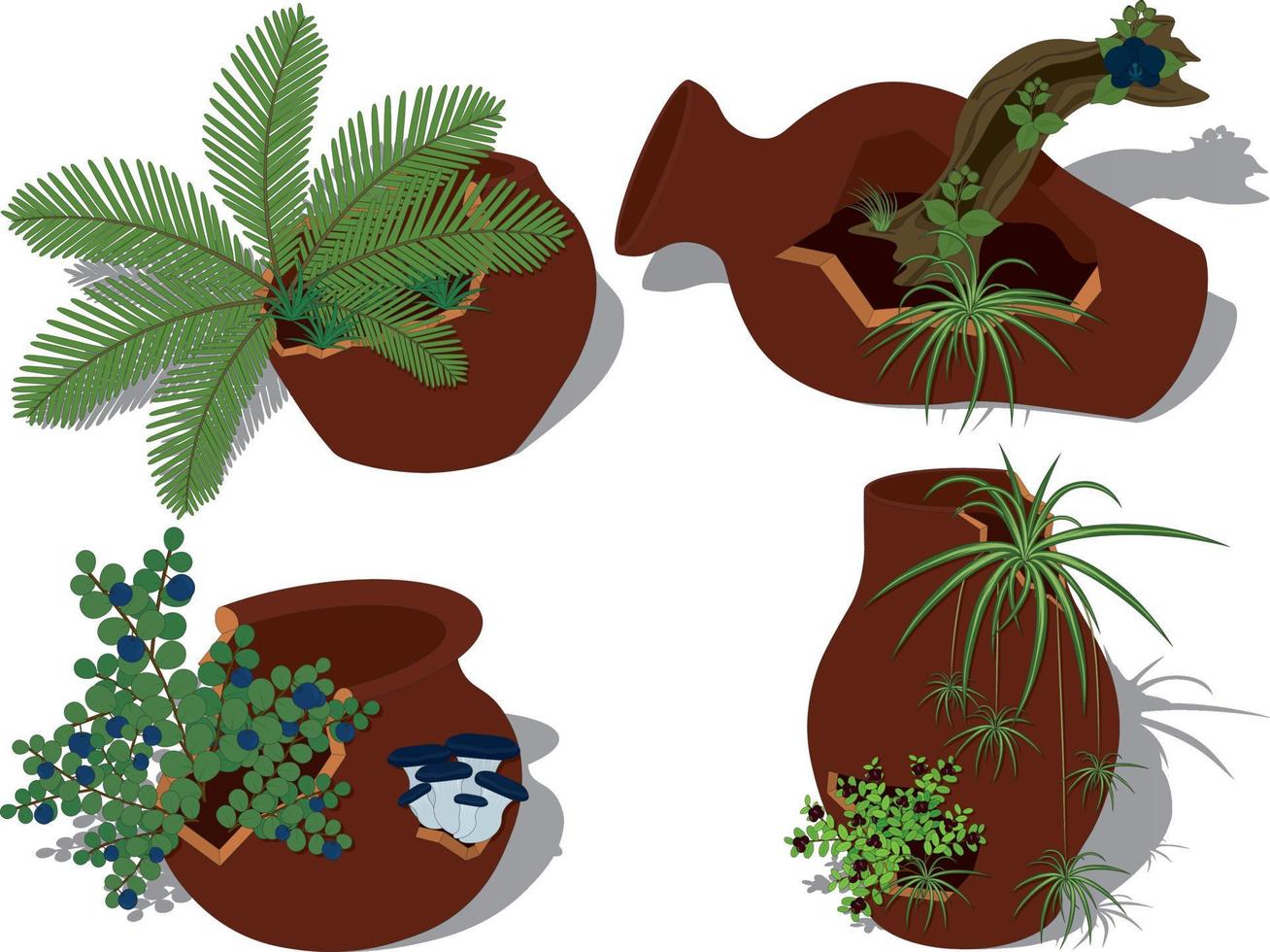 Potted plants collection, plants in cracked broken pots vector illustration