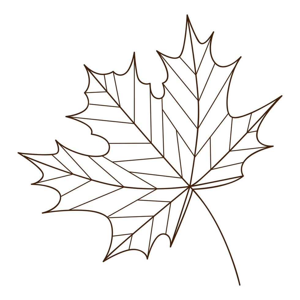 hoja de otoño de arce. botánico, elemento de diseño vegetal con contorno. otoño. garabato, dibujado a mano. diseño plano. ilustración vectorial en blanco y negro. Aislado en un fondo blanco vector