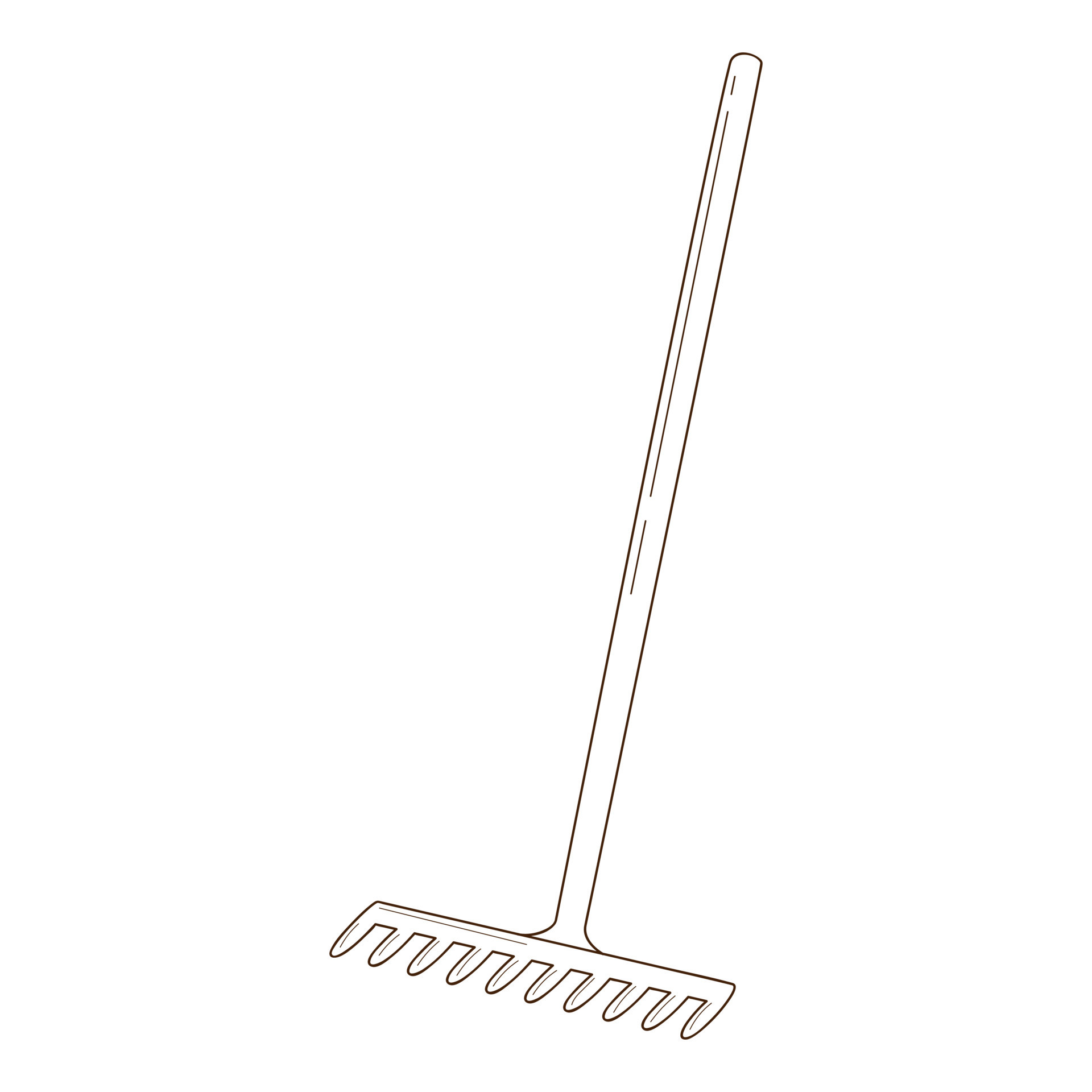 Rake for loosening the ground and collecting leaves. Garden tools, a ...