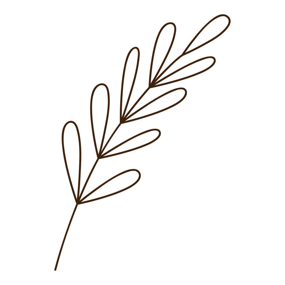 Abstract twig with leaves. A blade of grass. Botanical, plant design element with outline. Doodle, hand-drawn. Flat design. Black white vector illustration. Isolated on a white background.