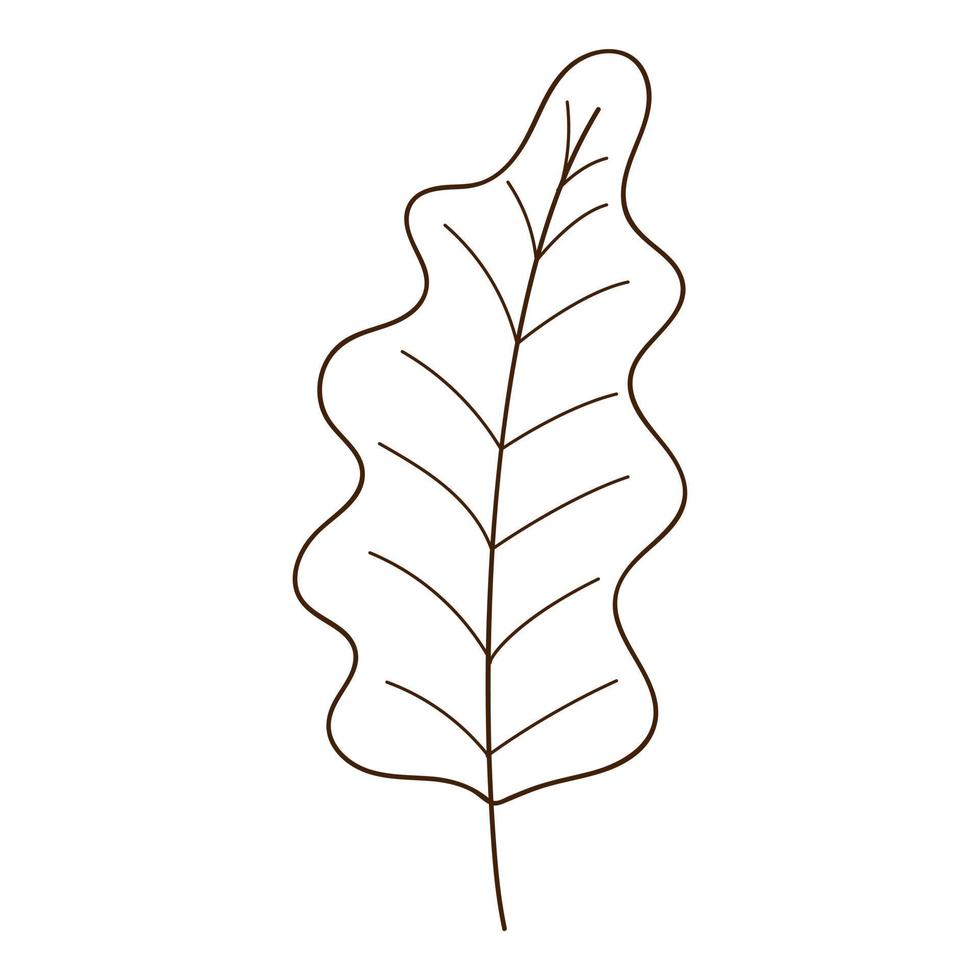 oak autumn leaf. Botanical, plant design element with outline. Autumn time. Doodle, hand-drawn. Flat design. Black white vector illustration. Isolated on a white background.