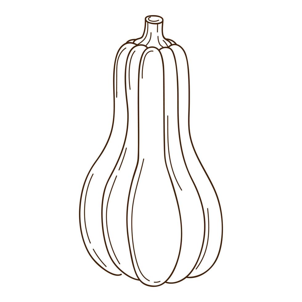 Abstract green-brown pumpkin. A symbol of autumn, harvest. Design element with outline. Doodle, hand-drawn. vegetable, melon plant. Black white vector illustration. Isolated on white.