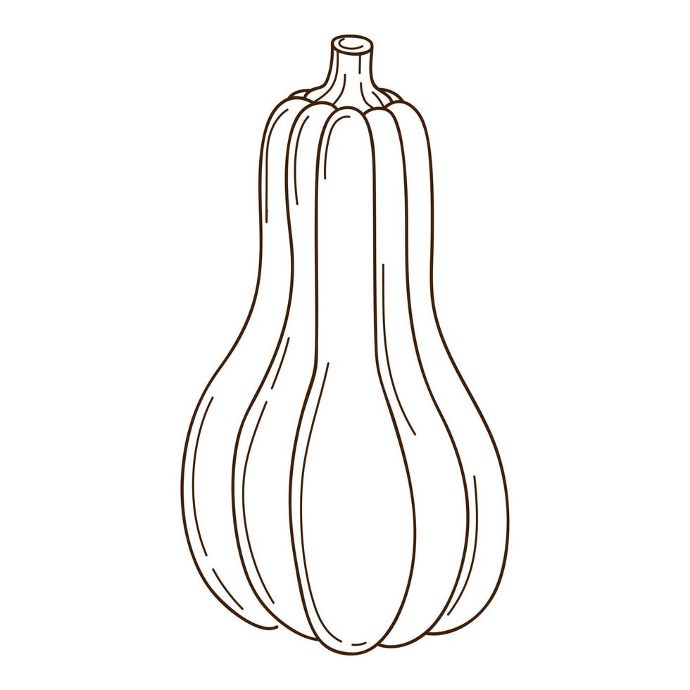 calabaza verde-marrón abstracta. un símbolo de otoño, cosecha. elemento de diseño con contorno. garabato, dibujado a mano. vegetal, planta de melón. ilustración vectorial en blanco y negro. aislado en blanco vector