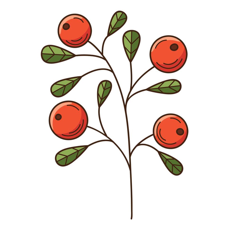 A twig with berries and leaves. Lingonberry, a forest plant. Botanical, plant design element with outline. Doodle, hand-drawn. Flat design. Color vector illustration. Isolated on a white background.