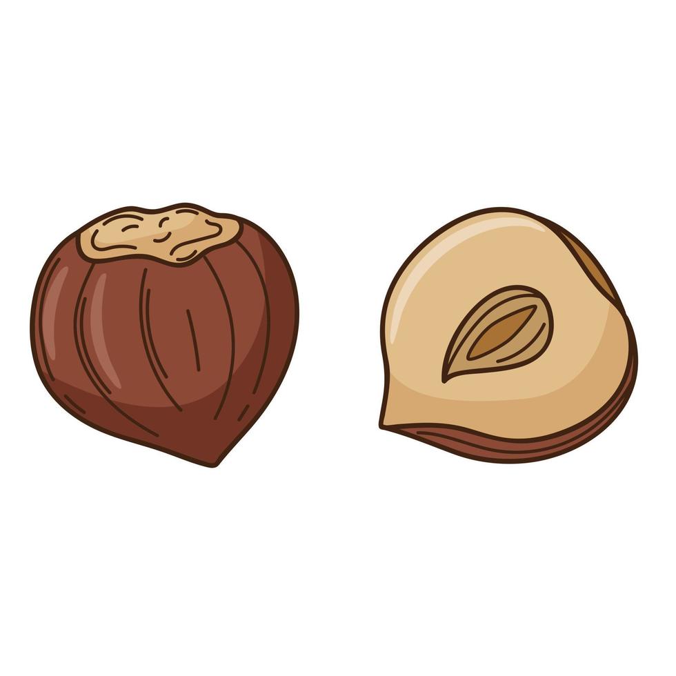 Hazelnut in the shell. A whole nut and a half. A symbol of autumn, harvest. Design element with outline. Doodle, hand-drawn. Flat design. Color vector illustration. Isolated on a white background.