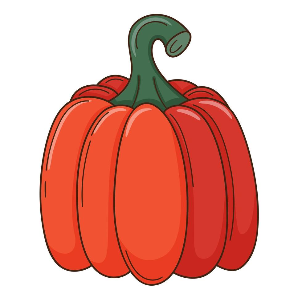 A whole red pumpkin. A symbol of autumn, harvest. Design element with outline. Doodle, hand-drawn. Flat design. vegetable, melon plant. Color vector illustration. Isolated on a white background.