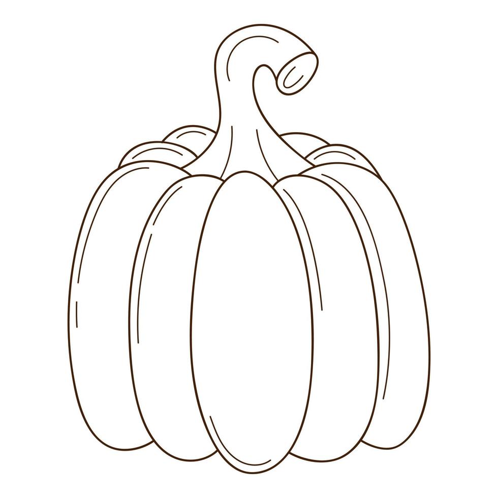 A whole pumpkin. A symbol of autumn, harvest. Design element with outline. Doodle, hand-drawn. vegetable, melon plant. Black white vector illustration. Isolated on a white background