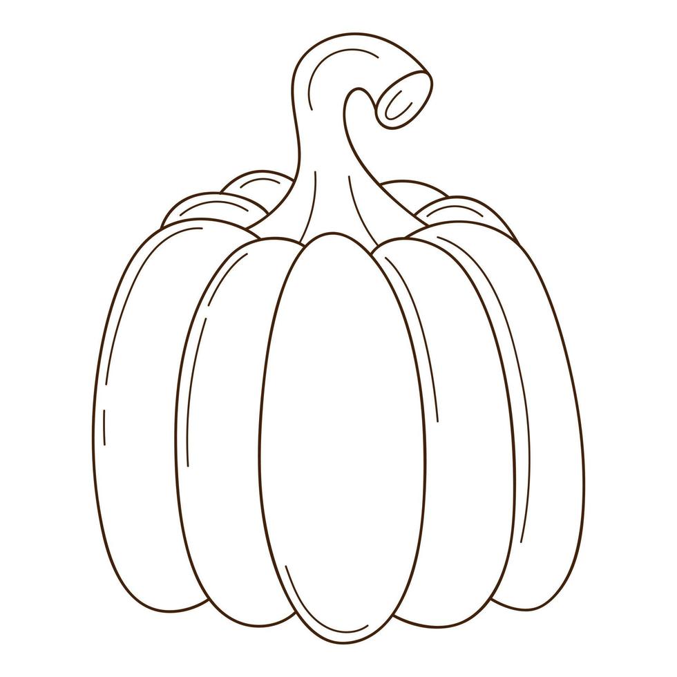 una calabaza entera. un símbolo de otoño, cosecha. elemento de diseño con contorno. garabato, dibujado a mano. vegetal, planta de melón. ilustración vectorial en blanco y negro. Aislado en un fondo blanco vector