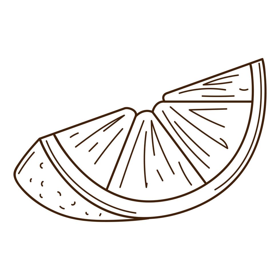 A slice of orange. Food design element with outline. Doodle, hand-drawn. Black white vector illustration. Isolated on a white background