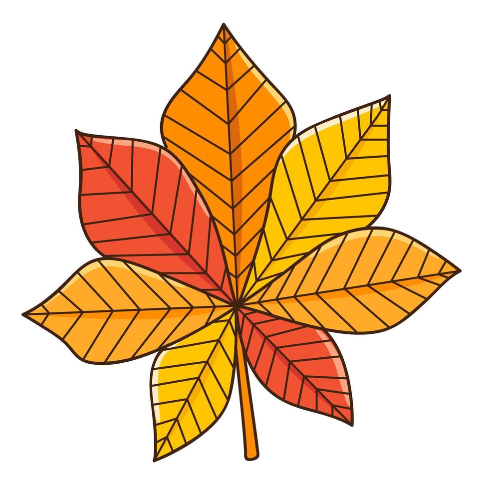 Red and yellow chestnut leaf. Autumn leaf. Botanical, plant design element with outline. Doodle, hand-drawn. Flat design. Color vector illustration. Isolated on a white background.