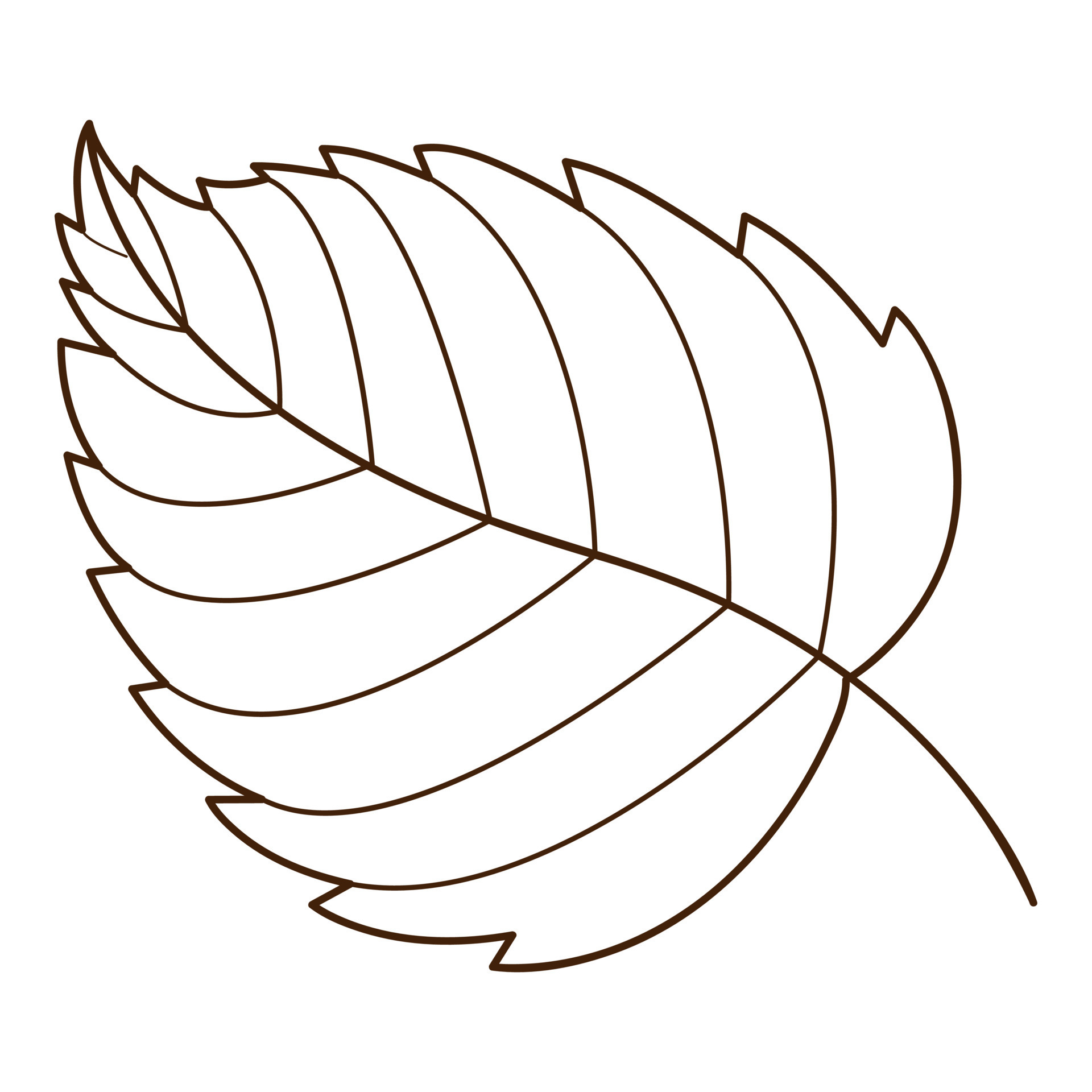 birch-leaf-botanical-plant-design-element-with-outline-time-of