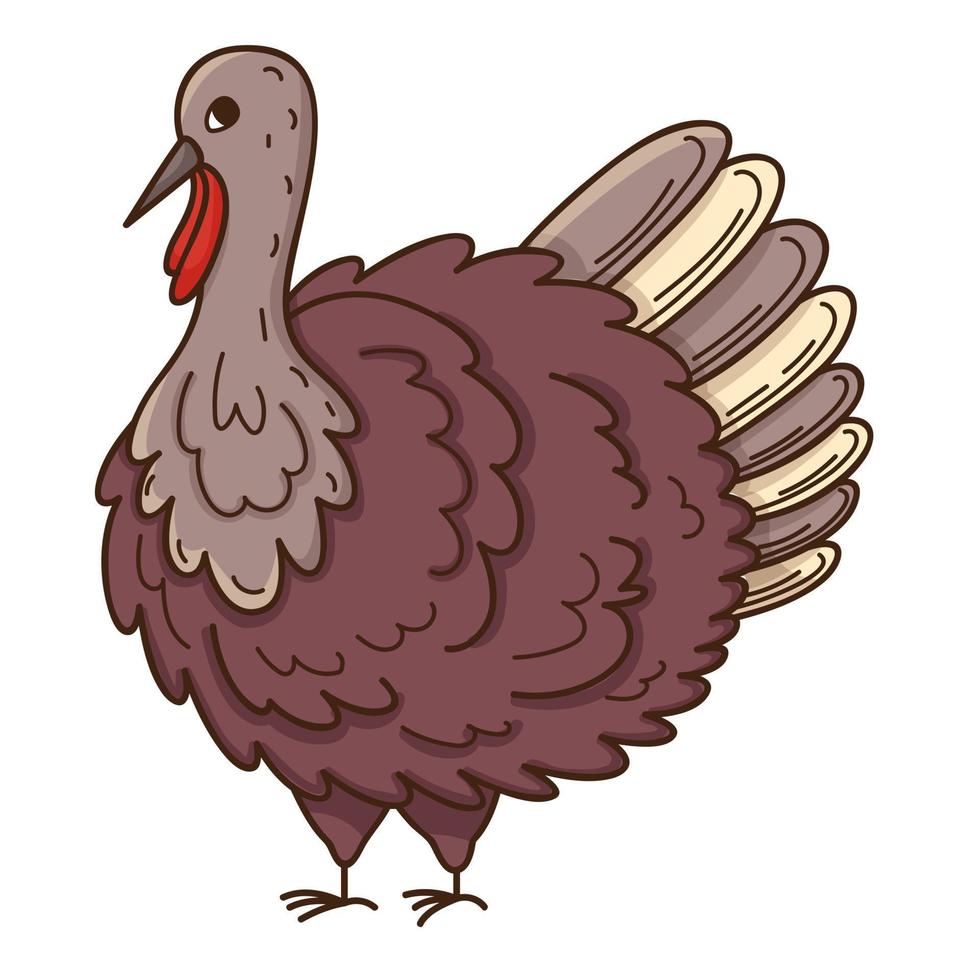 Live turkey. Poultry. The symbol of Thanksgiving. Design element with outline. Doodle, hand-drawn. Flat design. Color vector illustration. Isolated on a white background.