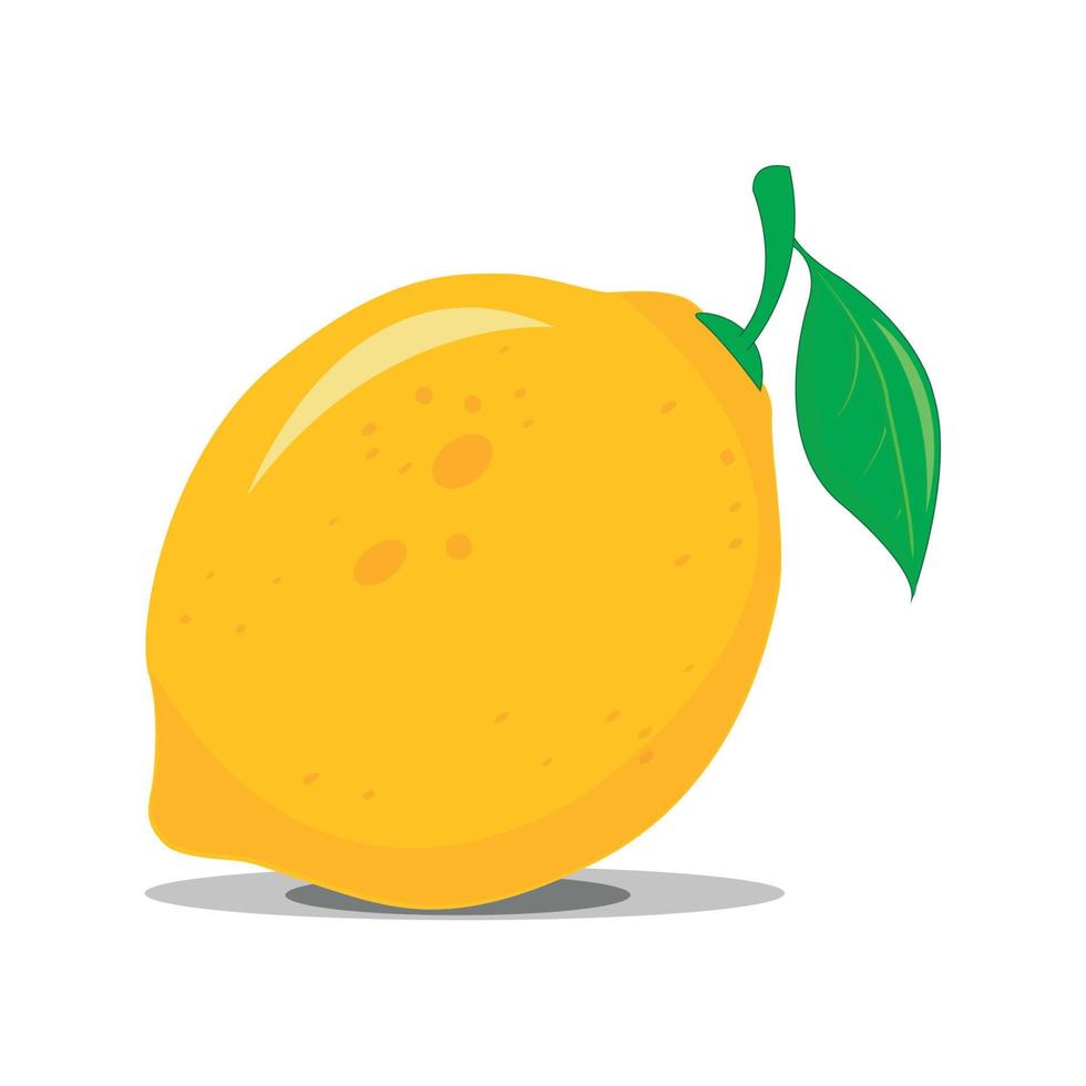 Lemon illustration on white background vector