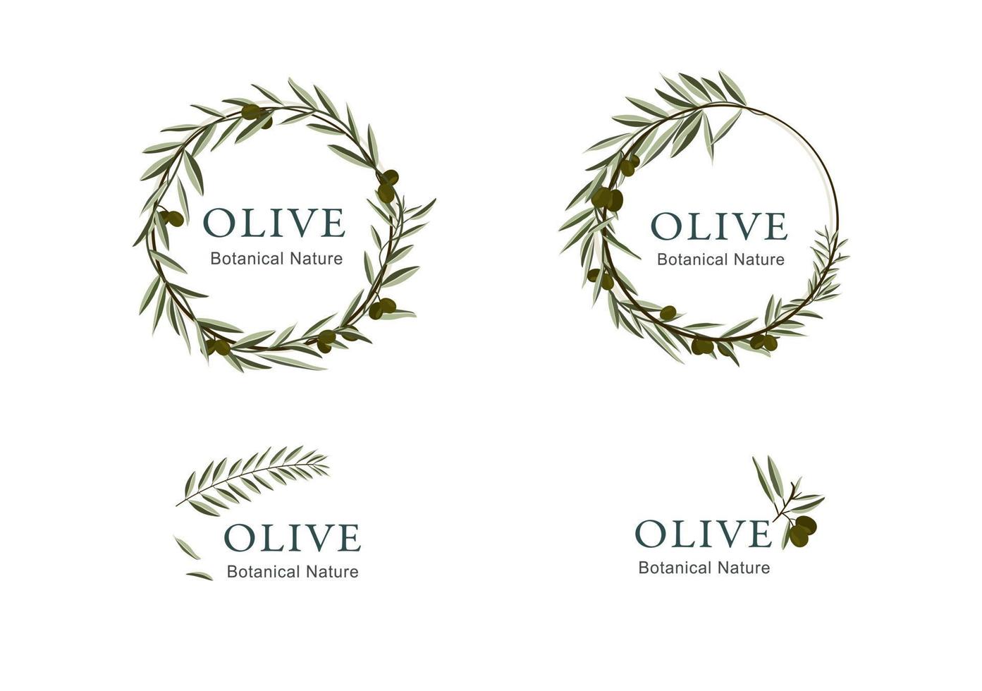 Logotype collection with olive ornaments vector