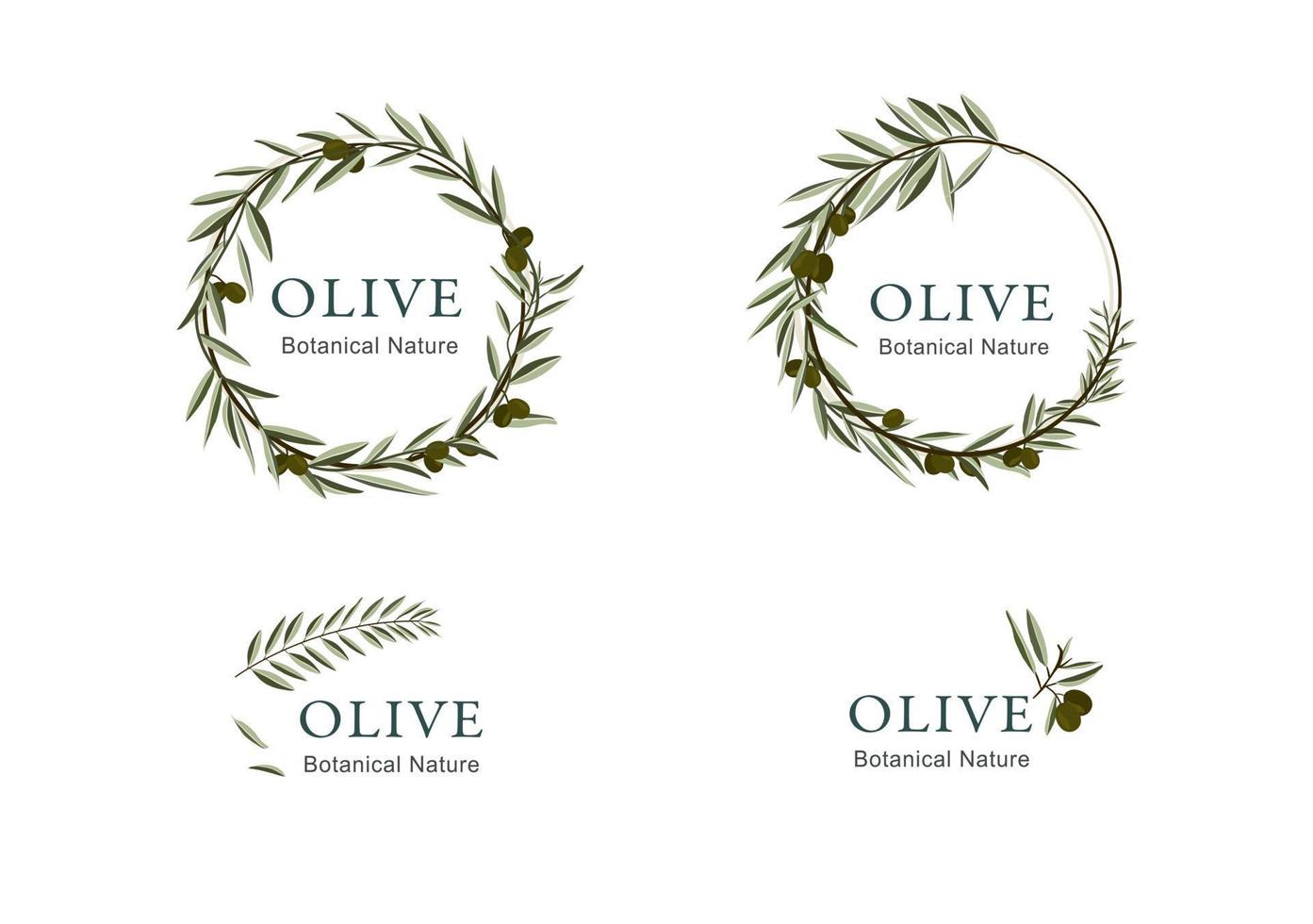 colección de logotipos con adornos de oliva vector