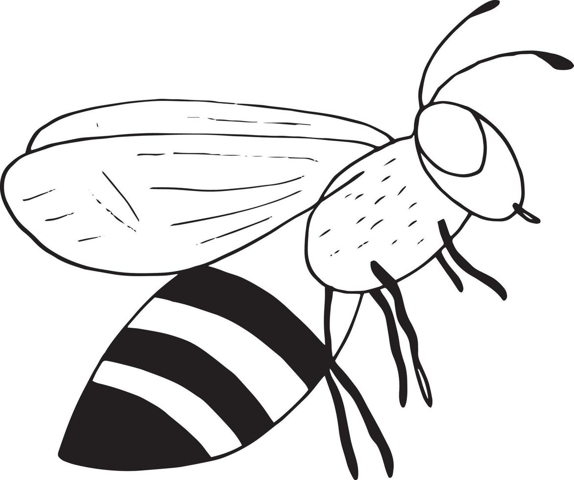 bee icon. hand drawn doodle style. , minimalism, monochrome, sketch insect flies honey sting vector