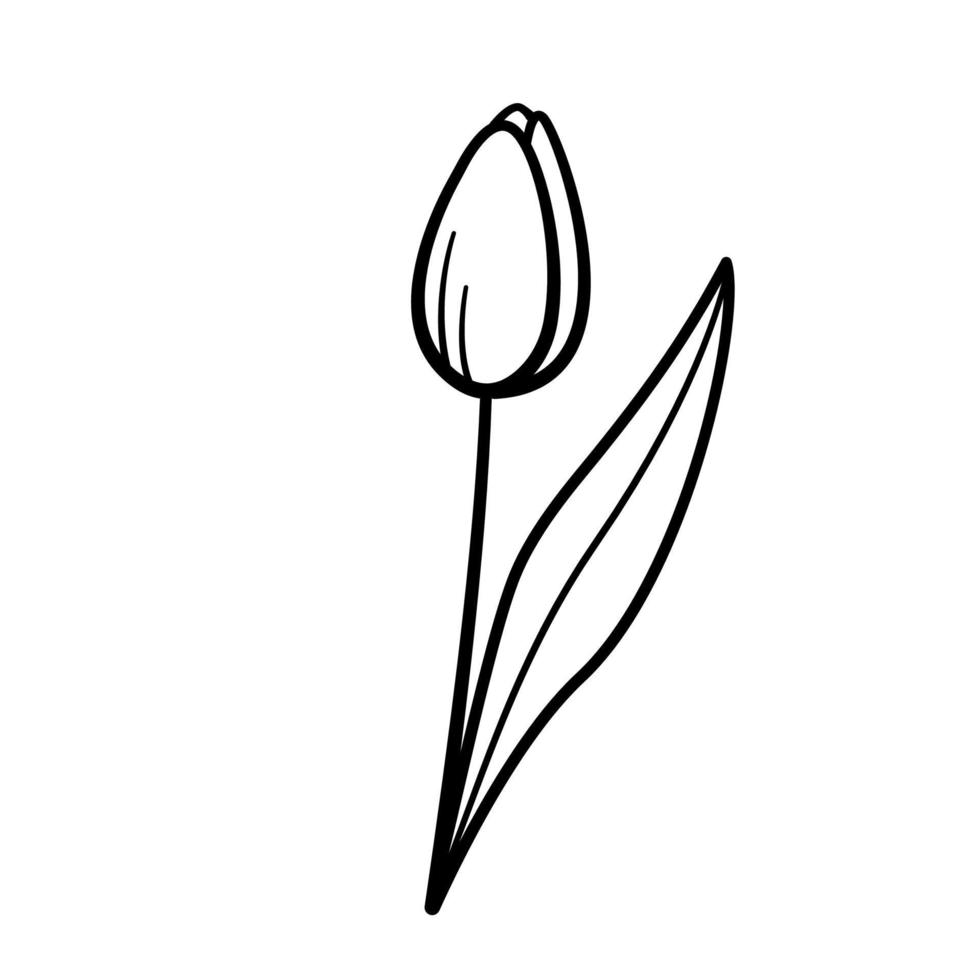 Hand drawn icon of tulip. Sketch doodle style. Isolated vector illustration.