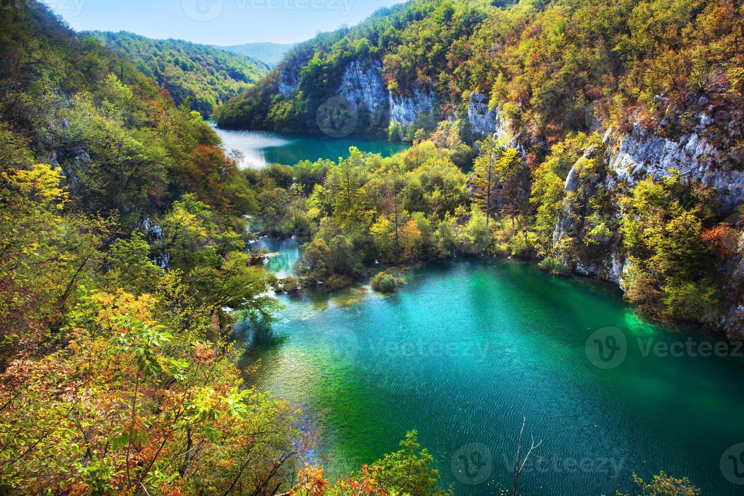 Lakes in forest. Crystal clear water. photo