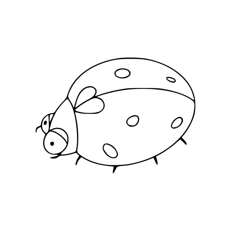 Black and white linear hand drawn ladybug icon. Flying insect vector illustration isolated on white background